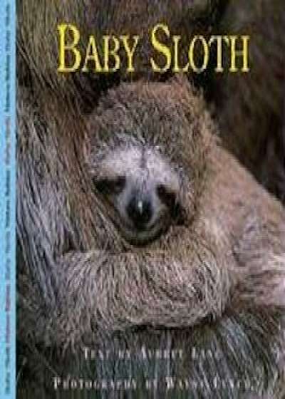 Baby Sloth, Paperback/Aubrey Lang