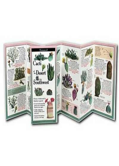 Cacti of the Desert Southwest, Paperback/Madeline Logowitz