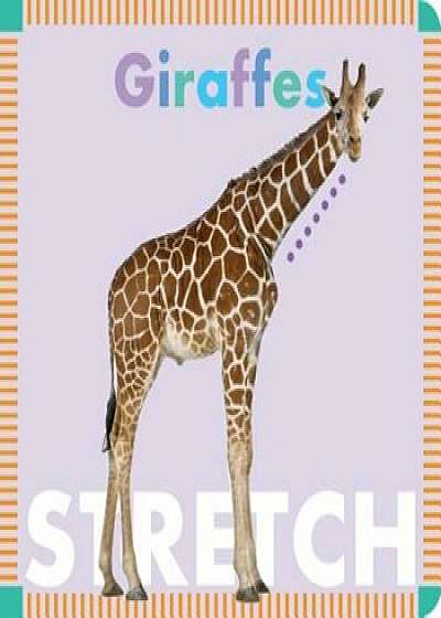 Giraffes Stretch, Hardcover/Rebecca Glaser
