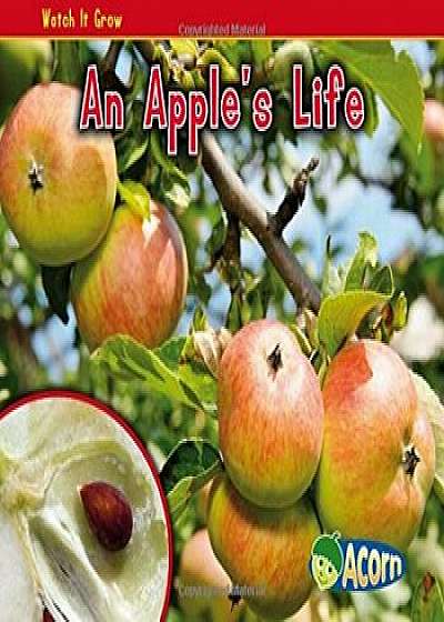 An Apple's Life, Paperback/Nancy Dickmann