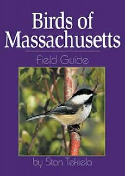 Coperta cărții Birds of Massachusetts Field Guide, Paperback/Stan Tekiela de Stan Tekiela