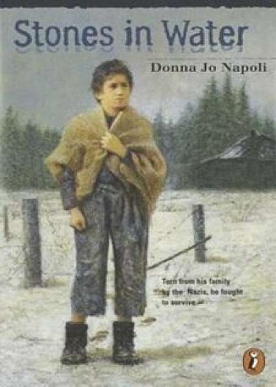 Stones in Water, Paperback/Donna Jo Napoli