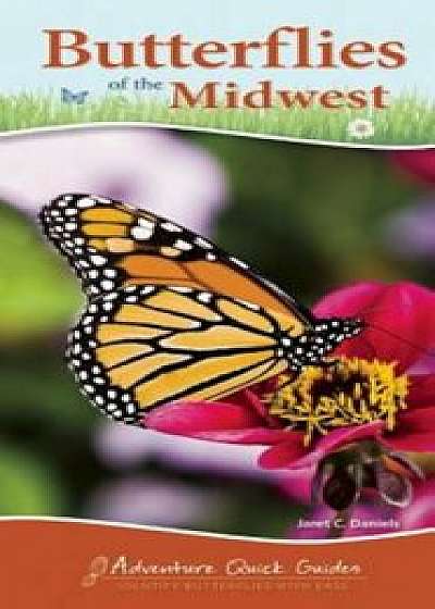 Butterflies of the Midwest, Paperback/Jaret C. Daniels