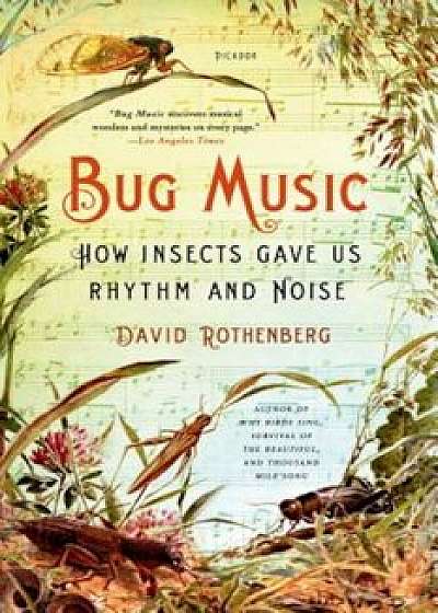 Bug Music: How Insects Gave Us Rhythm and Noise, Paperback/David Rothenberg