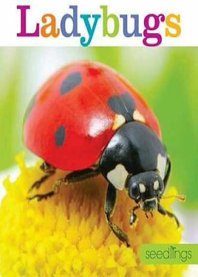 Seedlings: Ladybugs, Paperback/Aaron Frisch