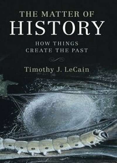 The Matter of History: How Things Create the Past, Paperback/Timothy J. Lecain