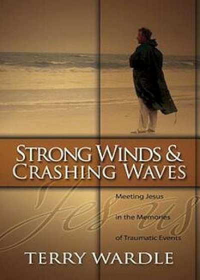 Strong Winds & Crashing Waves: Meeting Jesus in the Memories of Traumatic Events, Paperback/Terry Wardle
