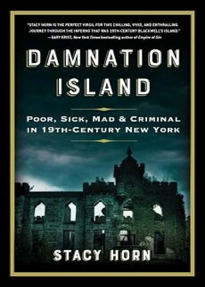 Damnation Island: Poor, Sick, Mad, and Criminal in 19th-Century New York, Hardcover/Stacy Horn