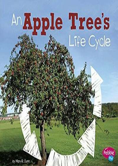 An Apple Tree's Life Cycle, Hardcover/Mary R. Dunn