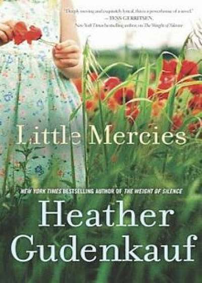 Little Mercies, Paperback/Heather Gudenkauf