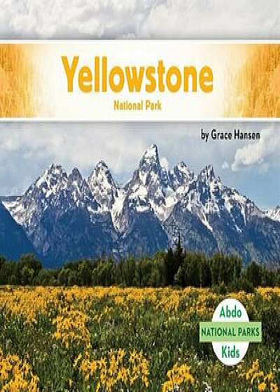 Yellowstone National Park, Hardcover/Grace Hansen