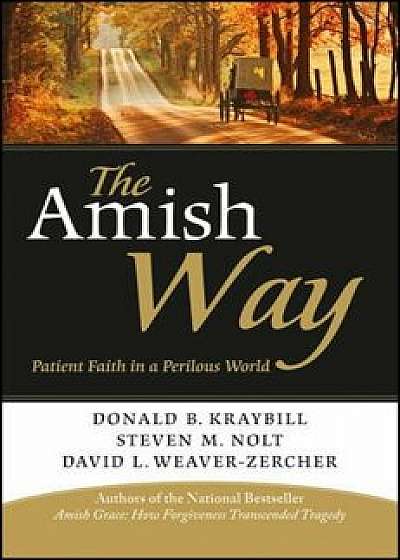 The Amish Way: Patient Faith in a Perilous World, Paperback/Donald B. Kraybill