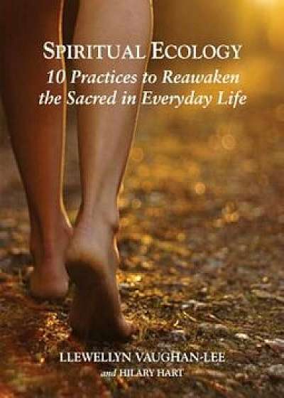 Spiritual Ecology: 10 Practices to Reawaken the Sacred in Everyday Life, Paperback/Llewellyn Vaughan-Lee
