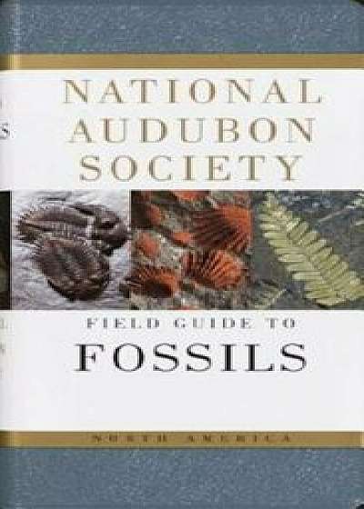 National Audubon Society Field Guide to Fossils, Paperback/Ida Thompson