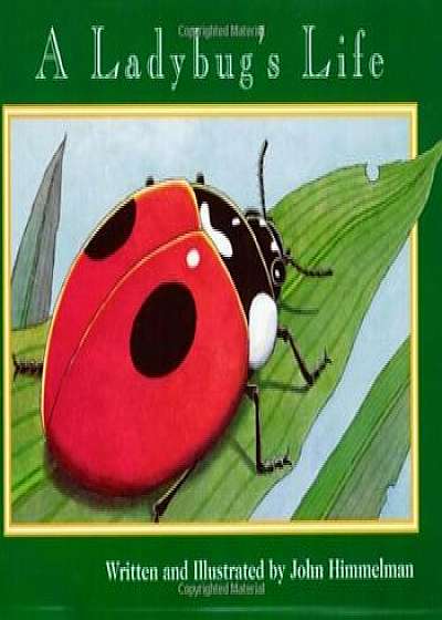 A Ladybug's Life, Paperback/John Himmelman