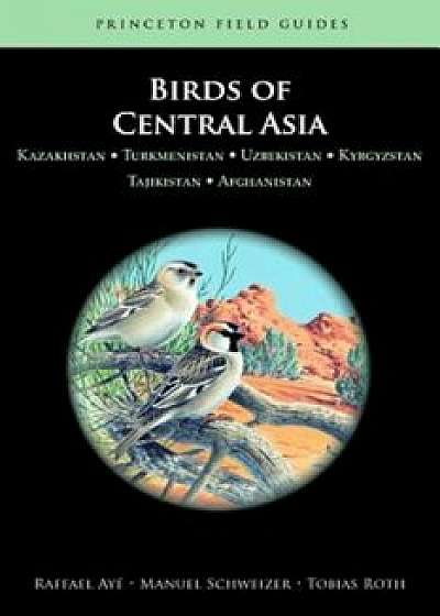 Birds of Central Asia: Kazakhstan, Turkmenistan, Uzbekistan, Kyrgyzstan, Tajikistan, and Afghanistan, Paperback/Raffael Aye