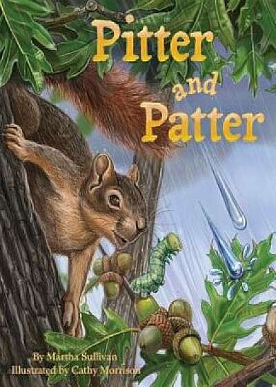 Pitter and Patter, Paperback/Martha Sullivan