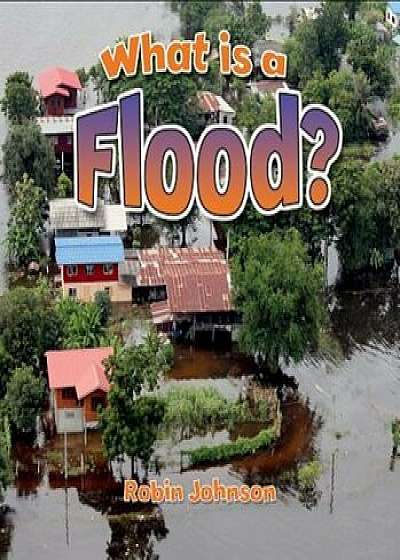 What Is a Flood', Paperback/Robin Johnson