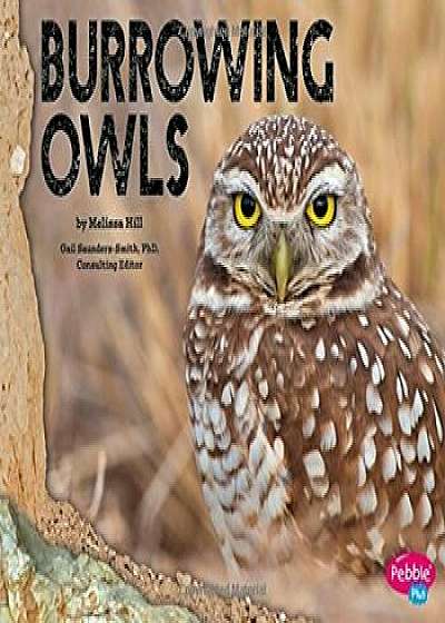 Burrowing Owls, Paperback/Gail Saunders-Smith