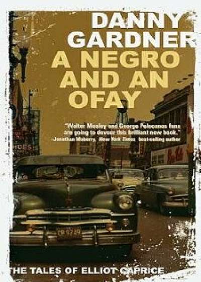A Negro and an Ofay, Paperback/Danny Gardner
