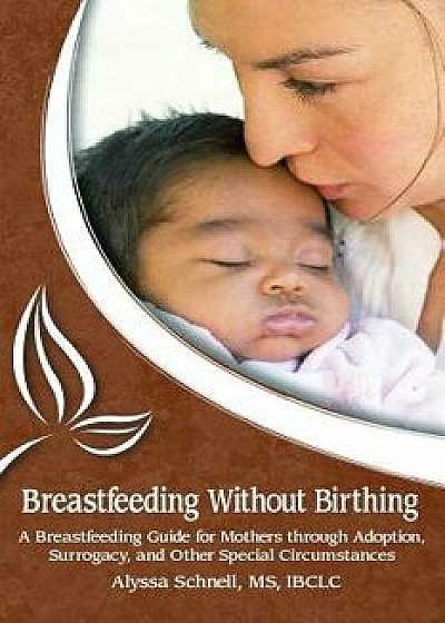 Breastfeeding Without Birthing: A Breastfeeding Guide for Mothers Through Adoption, Surrogacy, and Other Special Circumstances, Paperback/Alyssa Schnell