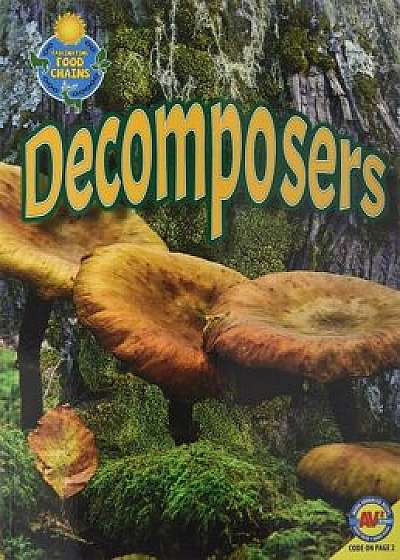 Decomposers, Paperback/Megan Lappi