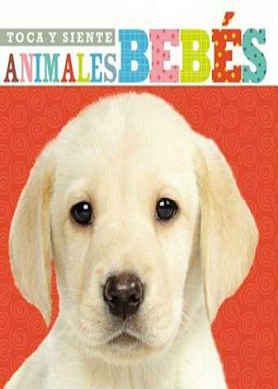 Toca y Siente Animales Bebes, Hardcover/Thomas Nelson