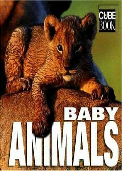 Baby Animals. Small/Angela Serena Ildos