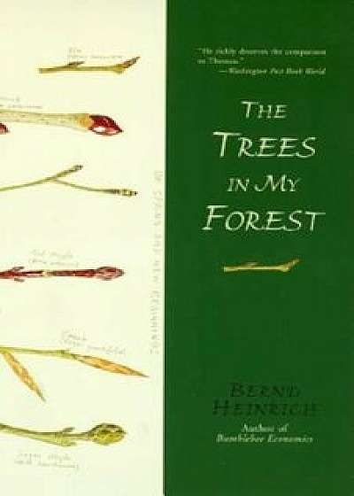 The Trees in My Forest, Paperback/Bernd Heinrich