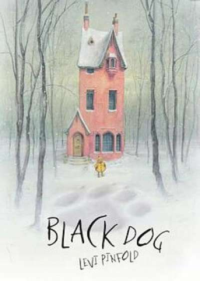 Black Dog, Hardcover/Levi Pinfold