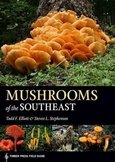 Mushrooms of the Southeast, Paperback/Todd F. Elliott