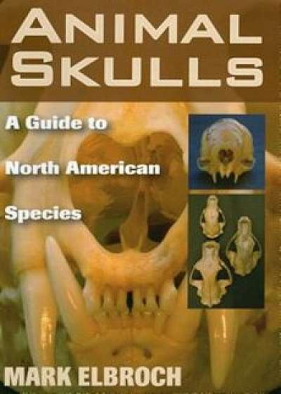 Animal Skulls: A Guide to North American Species, Paperback/Mark Elbroch