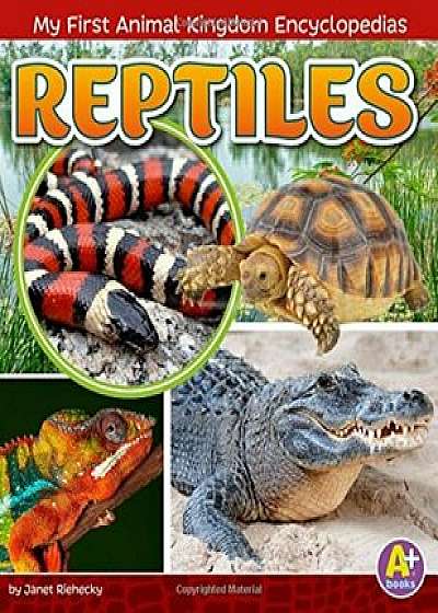 Reptiles, Paperback/Janet Riehecky