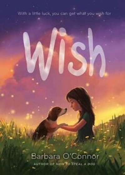 Wish, Hardcover/Barbara O'Connor