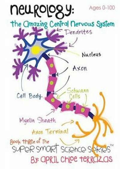 Neurology: The Amazing Central Nervous System, Paperback/April Chloe Terrazas