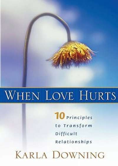 When Love Hurts: 10 Principles to Transform Diffricult Relationships, Paperback/Karla Downing