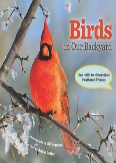 Birds in Our Backyard: Say Hello to Minnesota's Feathered Friends, Hardcover/Bill Marchel