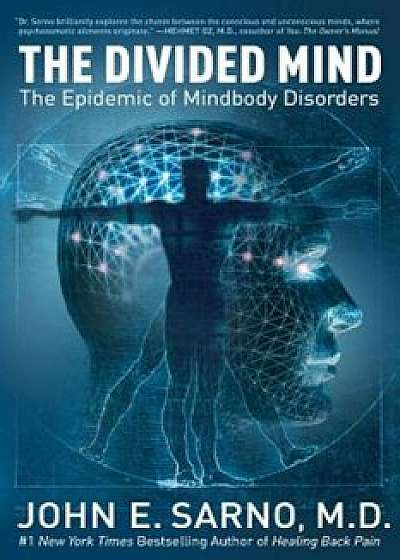 The Divided Mind: The Epidemic of Mindbody Disorders, Paperback/John E. Sarno