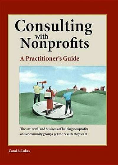 Consulting with Nonprofits: A Practitioner's Guide, Paperback/Carol A. Lukas