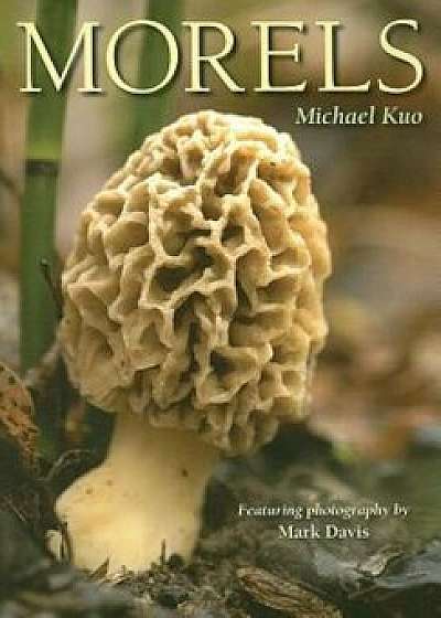 Morels, Paperback/Michael Kuo