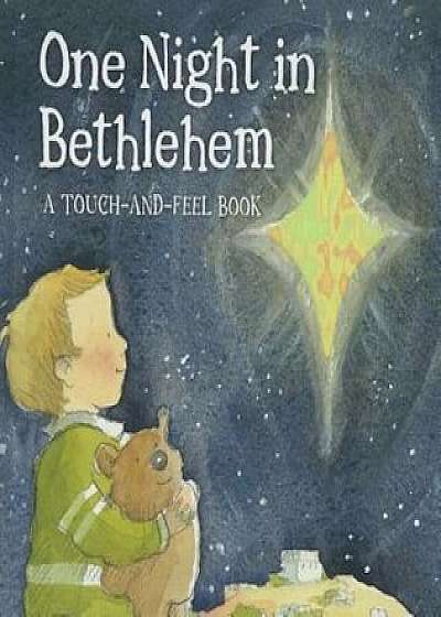 One Night in Bethlehem, Hardcover/Jill Roman Lord