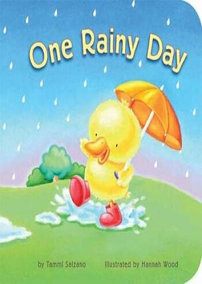 One Rainy Day, Hardcover/Tammi J. Salzano