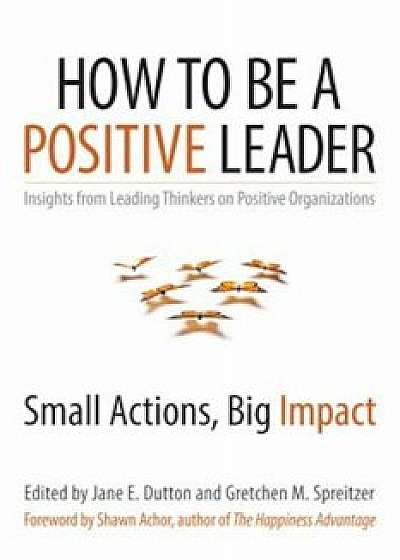 How to Be a Positive Leader: Small Actions, Big Impact, Paperback/Jane E. Dutton