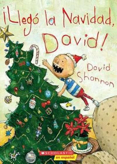 Llego La Navidad, David!: (Spanish Language Edition of It's Christmas, David!), Paperback/David Shannon