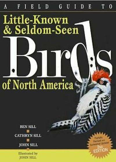 A Field Guide to Little-Known and Seldom-Seen Birds of North America, Paperback/Ben Sill