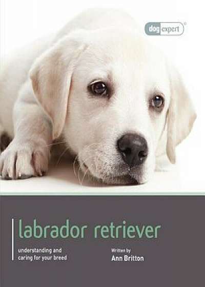 Labrador Retriever, Paperback/Ann Britton