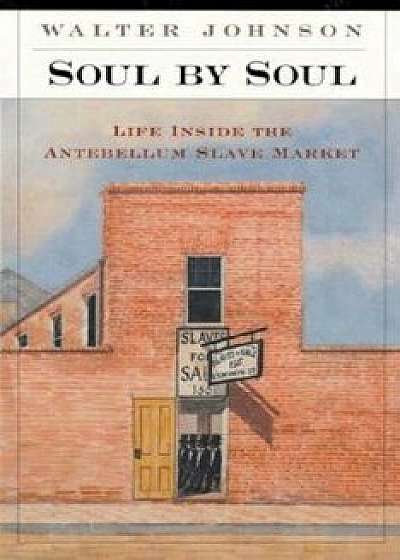 Soul by Soul: Life Inside the Antebellum Slave Market, Paperback/Walter Johnson