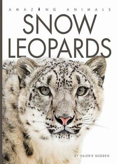 Snow Leopards, Paperback/Valerie Bodden