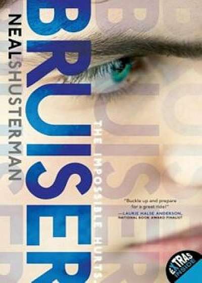 Bruiser, Paperback/Neal Shusterman