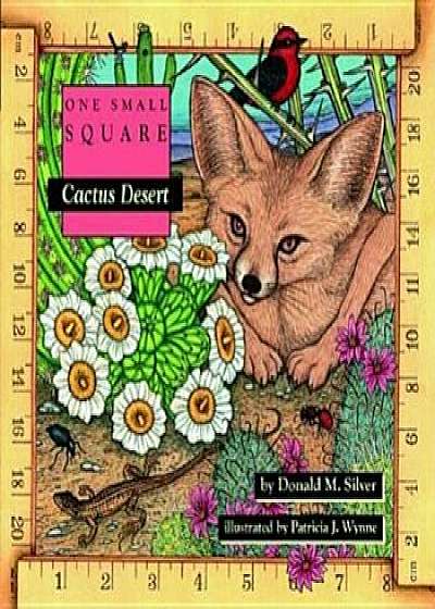 Cactus Desert, Paperback/Donald M. Silver